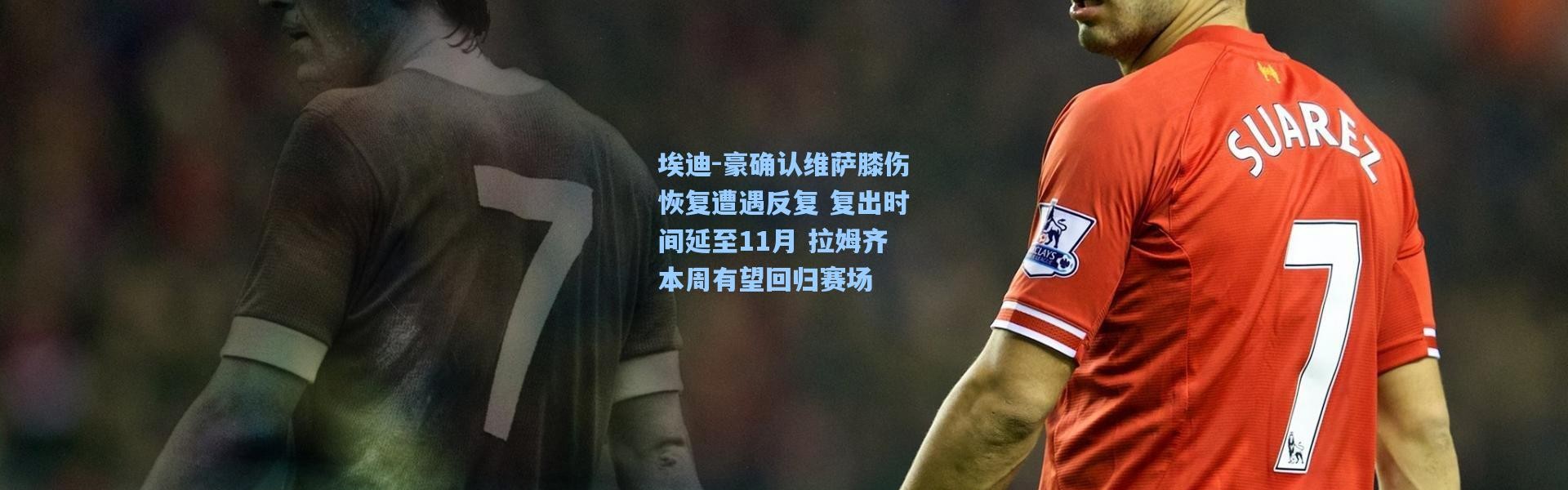 埃迪-豪确认维萨膝伤恢复遭遇反复 复出时间延至11月 拉姆齐本周有望回归赛场